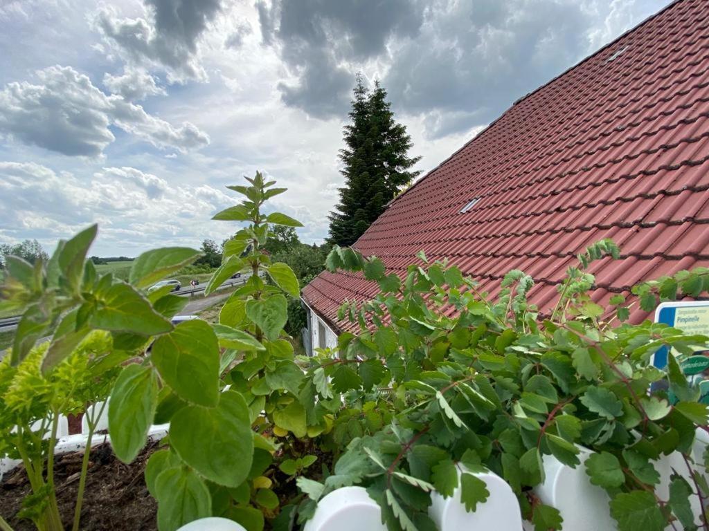 Appartamento Familienhof Mueritz Klein Plasten Esterno foto