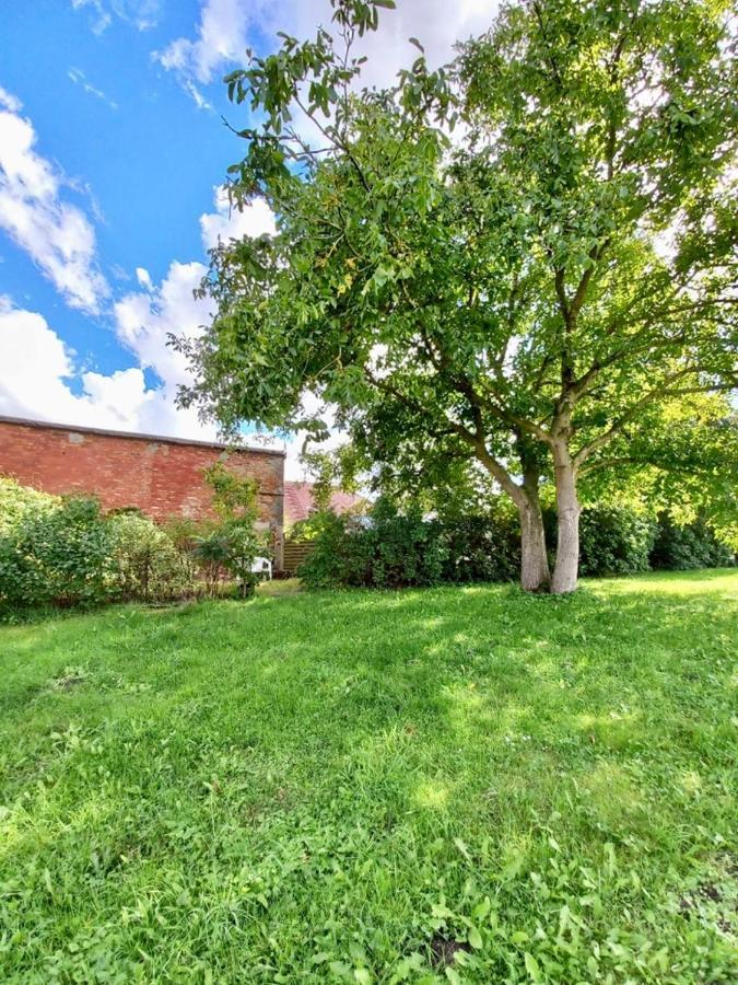 Appartamento Familienhof Mueritz Klein Plasten Esterno foto