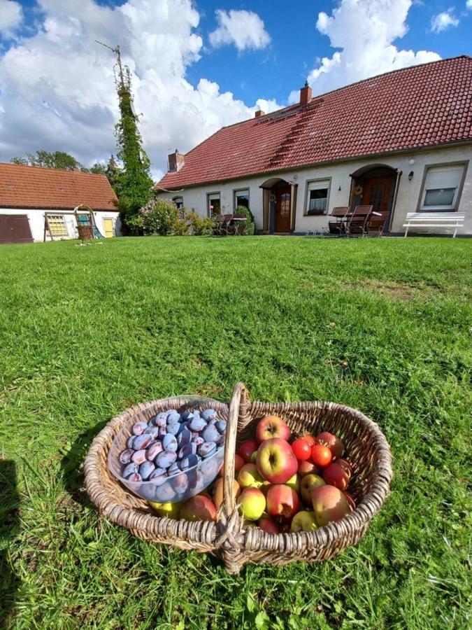 Appartamento Familienhof Mueritz Klein Plasten Esterno foto