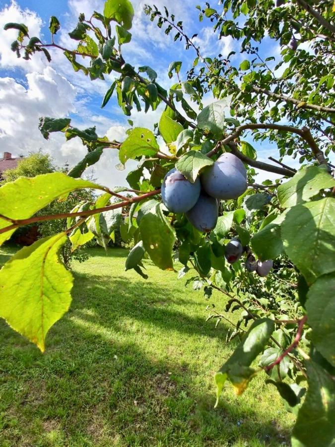 Appartamento Familienhof Mueritz Klein Plasten Esterno foto