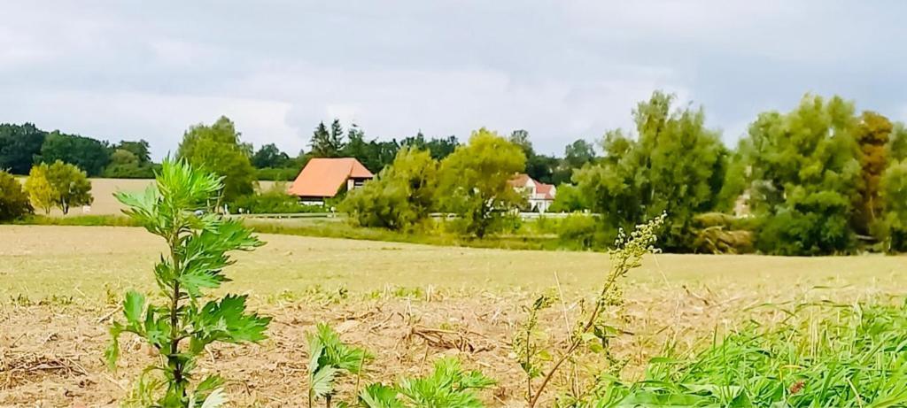 Appartamento Familienhof Mueritz Klein Plasten Esterno foto