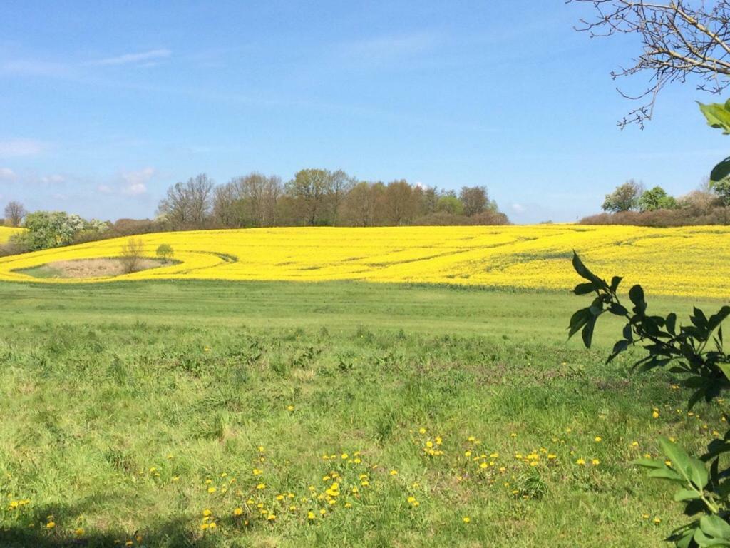 Appartamento Familienhof Mueritz Klein Plasten Esterno foto