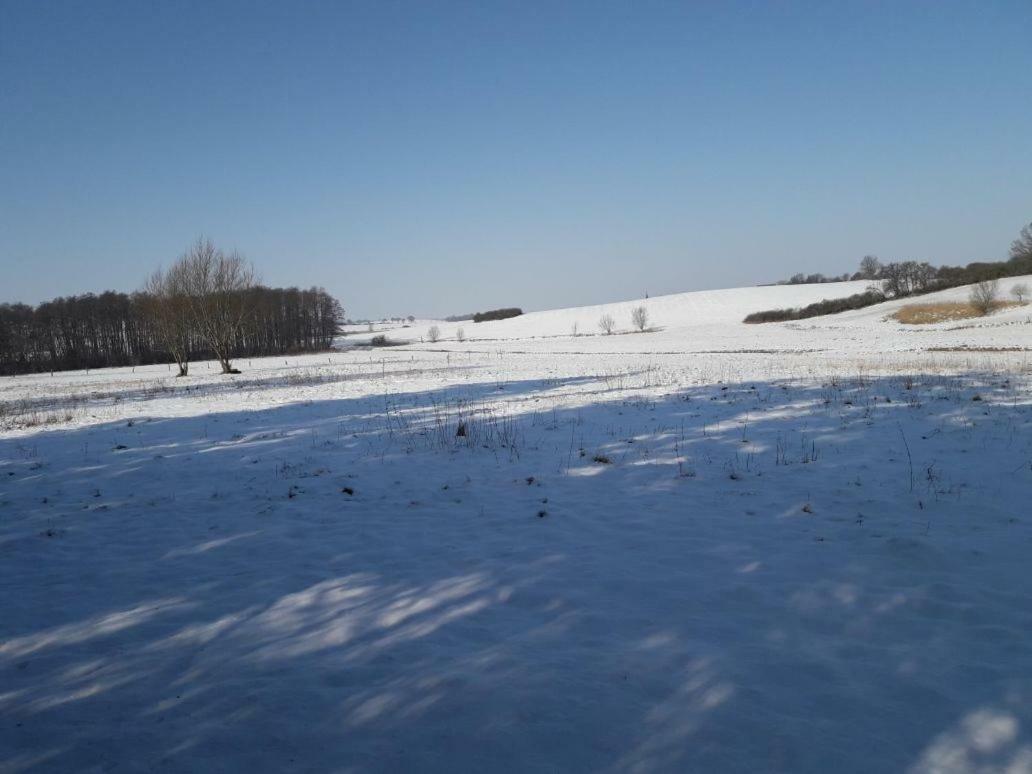 Appartamento Familienhof Mueritz Klein Plasten Esterno foto