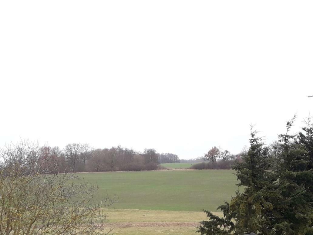 Appartamento Familienhof Mueritz Klein Plasten Esterno foto